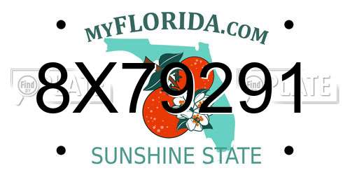 8X79291 Florida License Plate