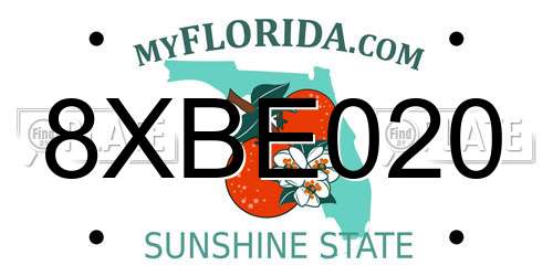 8XBE020 Florida License Plate