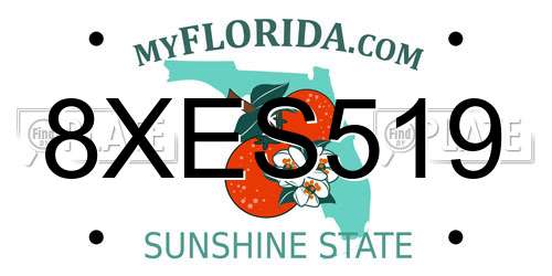 8XES519 Florida License Plate