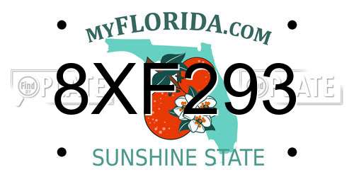 8XF293 Florida License Plate