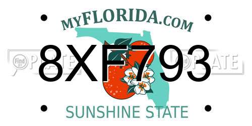 8XF793 Florida License Plate
