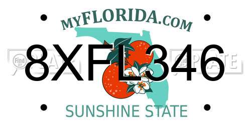 8XFL346 Florida License Plate