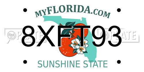8XFT93 Florida License Plate