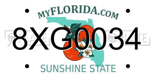 8XG0034 Florida License Plate