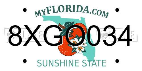 8XGO034 Florida License Plate