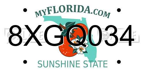 8XGQ034 Florida License Plate