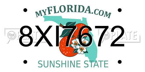 8XI7672 Florida License Plate