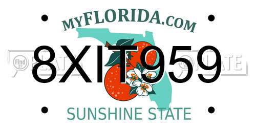 8XIT959 Florida License Plate