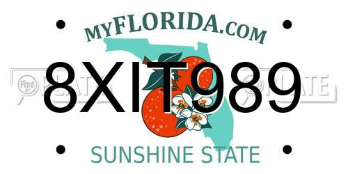 8XIT989 Florida License Plate