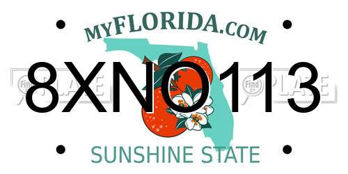 8XNO113 Florida License Plate