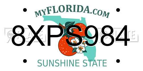 8XPS984 Florida License Plate
