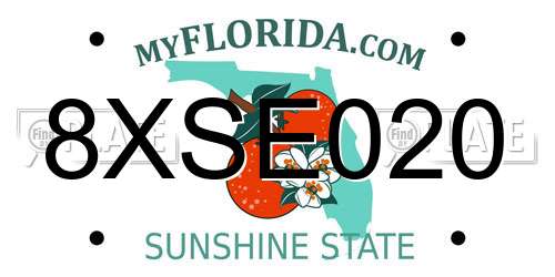 8XSE020 Florida License Plate