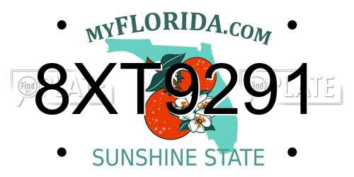 8XT9291 Florida License Plate