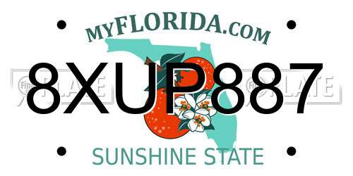 8XUP887 Florida License Plate