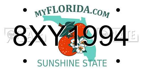 8XY1994 Florida License Plate