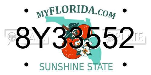 8Y33552 Florida License Plate