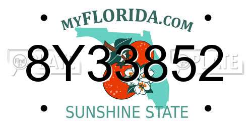 8Y33852 Florida License Plate