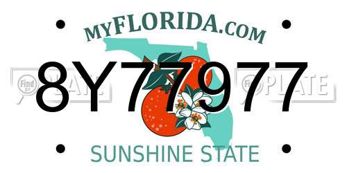 8Y77977 Florida License Plate