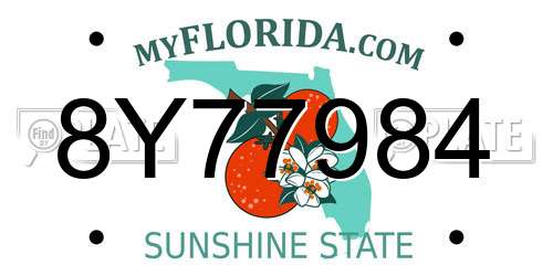 8Y77984 Florida License Plate