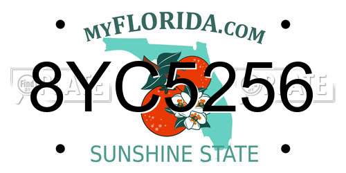 8YC5256 Florida License Plate