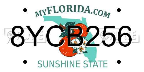 8YCB256 Florida License Plate