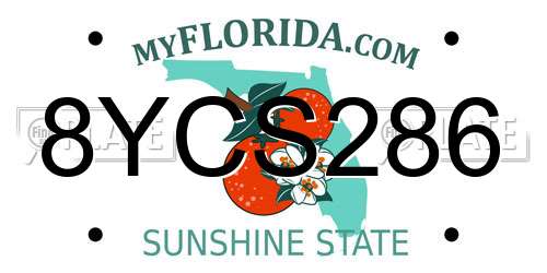 8YCS286 Florida License Plate