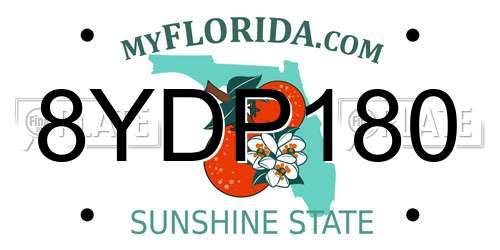 8YDP180 Florida License Plate