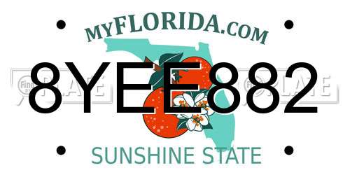8YEE882 Florida License Plate