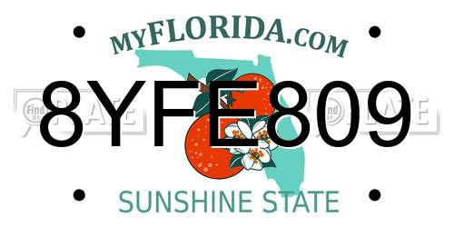 8YFE809 Florida License Plate