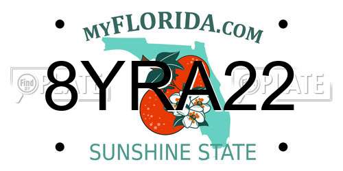 8YRA22 Florida License Plate