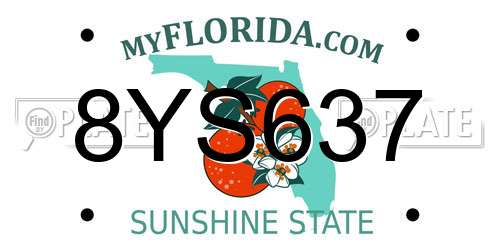 8YS637 Florida License Plate