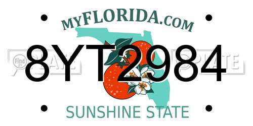 8YT2984 Florida License Plate