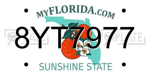 8YT7977 Florida License Plate