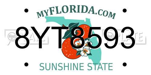 8YT8593 Florida License Plate