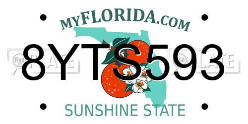 8YTS593 Florida License Plate