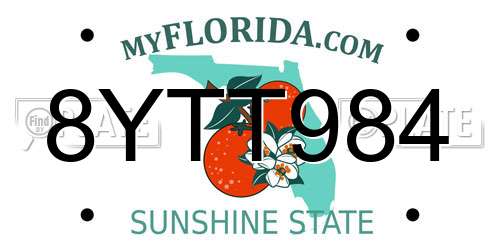 8YTT984 Florida License Plate