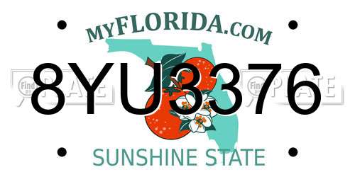 8YU3376 Florida License Plate