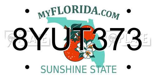 8YUT373 Florida License Plate