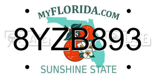 8YZB893 Florida License Plate