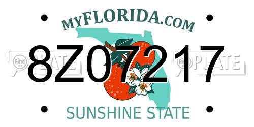 8Z07217 Florida License Plate