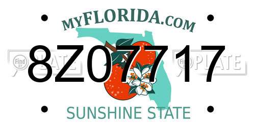 8Z07717 Florida License Plate