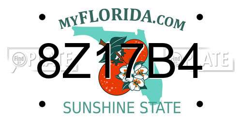 8Z17B4 Florida License Plate