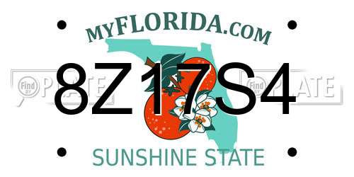 8Z17S4 Florida License Plate