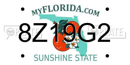 8Z19G2 Florida License Plate