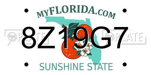 8Z19G7 Florida License Plate