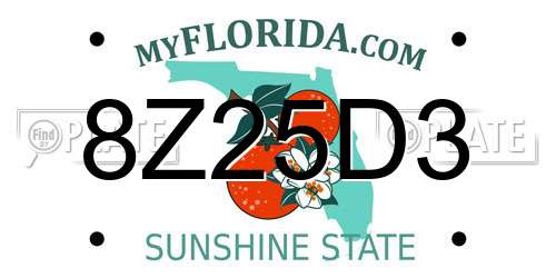 8Z25D3 Florida License Plate