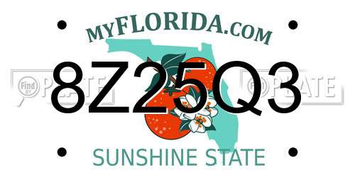 8Z25Q3 Florida License Plate
