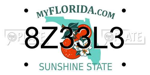 8Z33L3 Florida License Plate