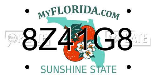 8Z41G8 Florida License Plate