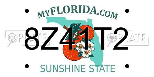 8Z41T2 Florida License Plate